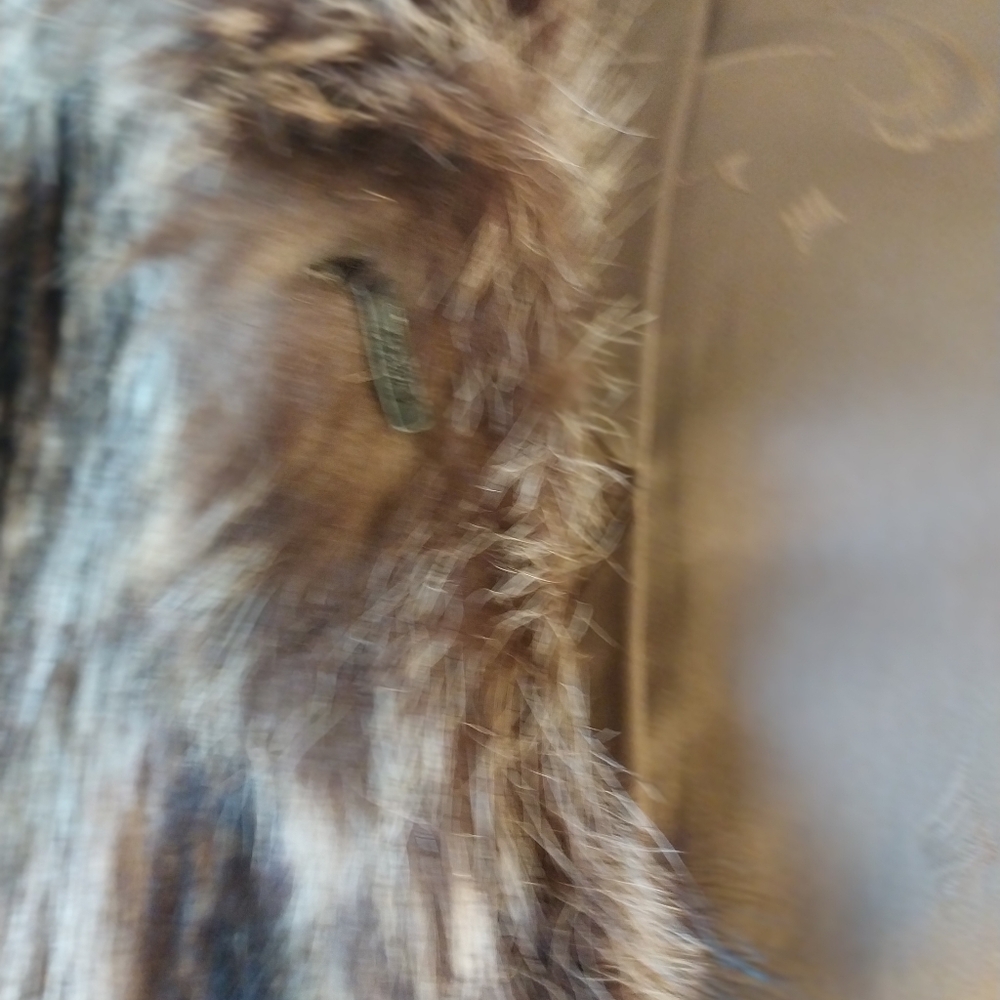 Luxurious fur coat ** READ DESCRIPTION** - Picture 6 of 8